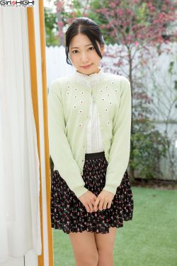 花翎飞盗