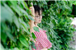 阿娘史道传
