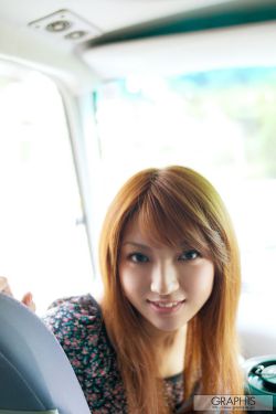 花翎飞盗